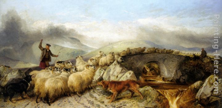 Collecting the Sheep for Clipping in the Highlands painting - Richard Ansdell Collecting the Sheep for Clipping in the Highlands art painting